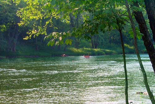 Wildlife is across the river, in the river, and in your front yard.