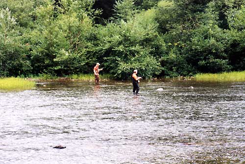 Fly fishing is just steps away from the front porch of your cabin.